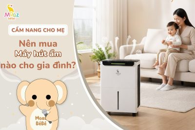 Nên mua máy hút ẩm loại nào cho gia đình?