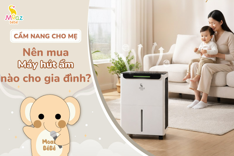 Nên mua máy hút ẩm loại nào tốt dùng cho gia đình? 4 Nên mua máy hút ẩm loại nào cho gia đình?