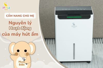 Nguyên lý hoạt động của máy hút trong gia đình