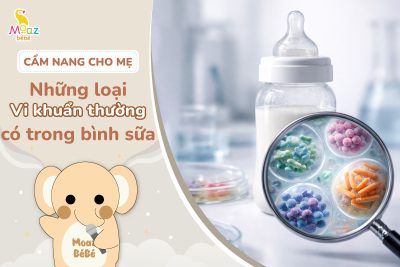 những loại vi khuẩn thường có trong bình sữa