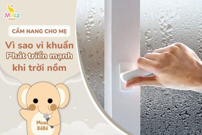 Vì sao trời nồm khiến vi khuẩn phát triển mạnh?