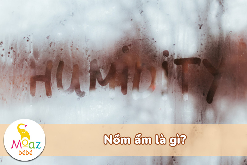 Nồm ẩm là gì? Vì sao vi khuẩn phát triển mạnh vào mùa nồm? 2 Nồm ẩm là gì?