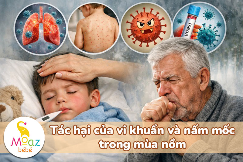 Nồm ẩm là gì? Vì sao vi khuẩn phát triển mạnh vào mùa nồm? 4 Tác hại của vi khuẩn và nấm mốc trong mùa nồm