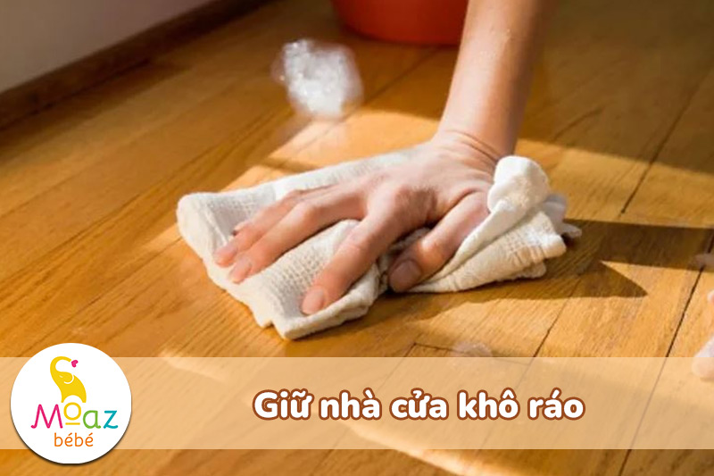Nồm ẩm là gì? Vì sao vi khuẩn phát triển mạnh vào mùa nồm? 5 Giữ nhà cửa khô ráo