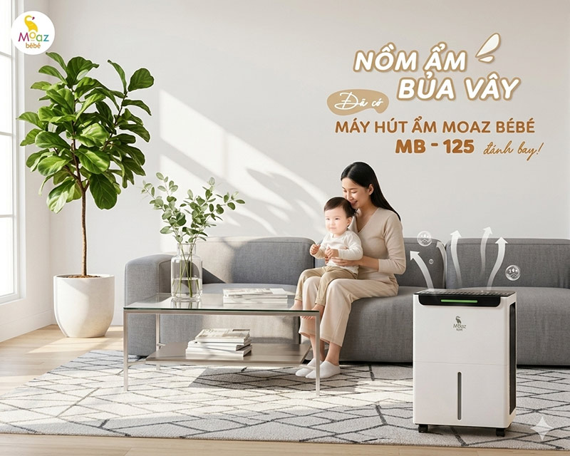 Nồm ẩm là gì? Vì sao vi khuẩn phát triển mạnh vào mùa nồm? 6 nom am la gi 14