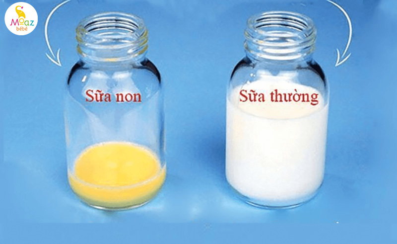 Sữa non cho trẻ sơ sinh là gì