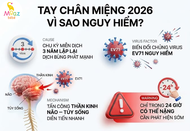 Cảnh báo biến thể C1 của Enterovirus 71 nguy hiểm cho trẻ nhỏ