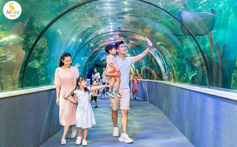 khu vui chơi trẻ em ở hà nội