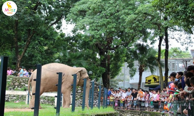 Công viên Thủ Lệ