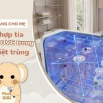 Lợi ích vượt trội khi kết hợp tia UVA và UVC trong máy tiệt trùng