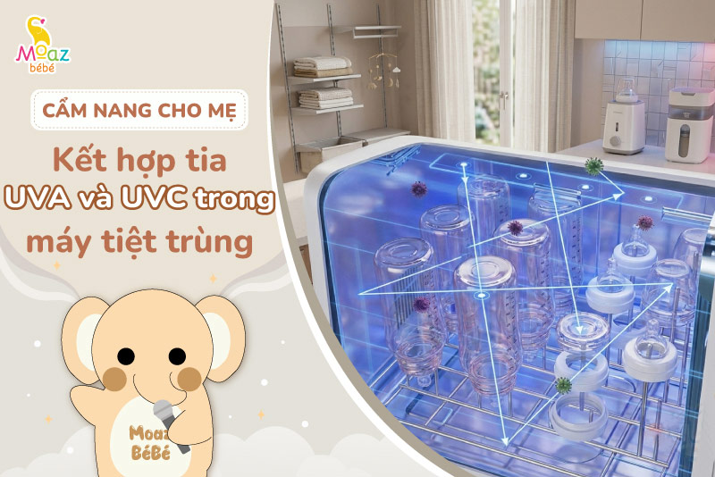 Công nghệ UVA là gì? Cơ chế tiệt trùng của tia UVA và UVC trong thiết bị hiện đại 3 Lợi ích vượt trội khi kết hợp tia UVA và UVC trong máy tiệt trùng