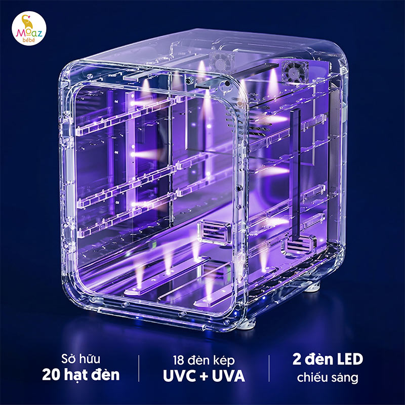 E.coli có thể tồn tại bao lâu trong bình chưa tiệt trùng? 5 Review may tiet trung say kho Moaz BeBe MB 123 5