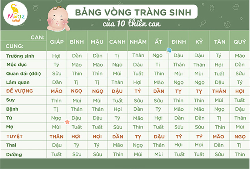 Tìm hiểu về bảng sinh con hợp tuổi bố mẹ chuẩn và dễ xem 3 Bảng vòng tràng sinh hợp tuổi bố mẹ