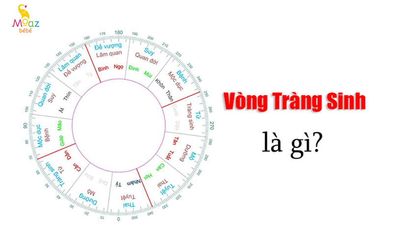Tìm hiểu về bảng sinh con hợp tuổi bố mẹ chuẩn và dễ xem 2 bang sinh con hop tuoi bo me 2