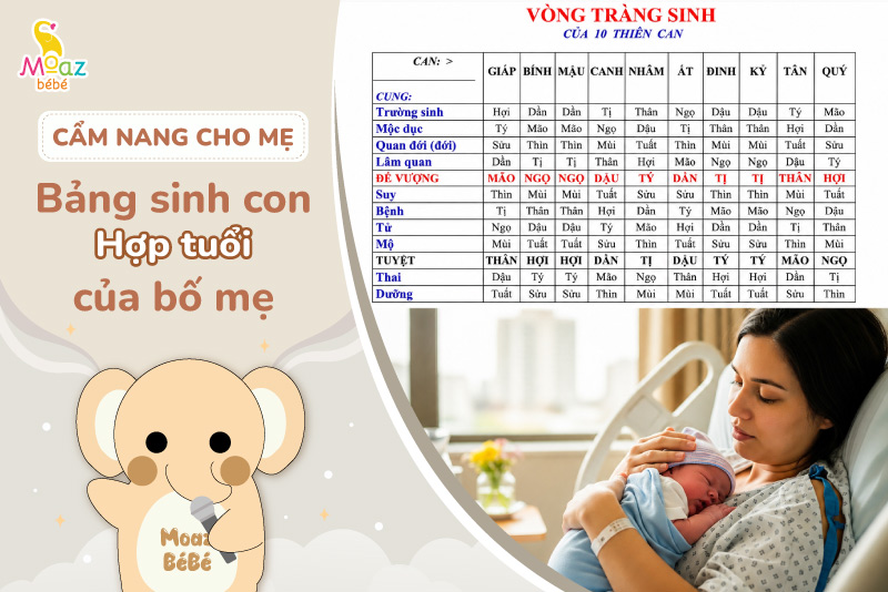 Tìm hiểu về bảng sinh con hợp tuổi bố mẹ chuẩn và dễ xem 4 Bảng sinh con hợp tuổi bố mẹ theo từng năm