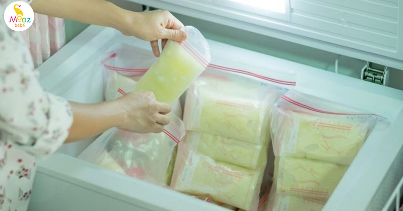 Cách bảo quản sữa mẹ khi không có tủ lạnh an toàn 8 Bảo quản sữa mẹ trong thùng cách nhiệt và đá viên