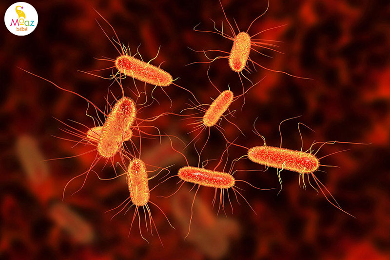 Tại sao trẻ sơ sinh dễ nhiễm khuẩn đường ruột? 8 Các loại vi khuẩn và virus thường gặp