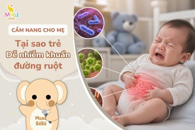 tại sao trẻ sơ sinh dễ nhiễm khuẩn đường ruột