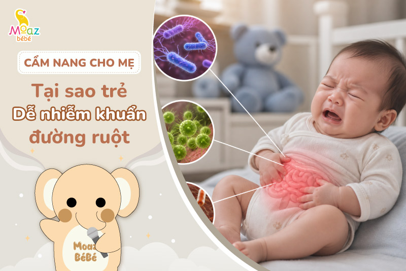 Tại sao trẻ sơ sinh dễ nhiễm khuẩn đường ruột? 6 tại sao trẻ sơ sinh dễ nhiễm khuẩn đường ruột