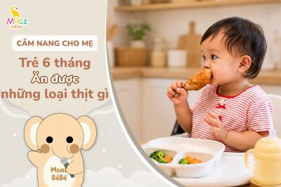 Trẻ 6 tháng ăn được những loại thịt gì?