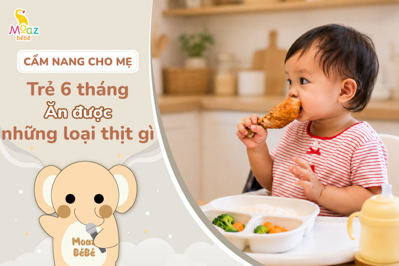 Trẻ 6 tháng ăn được những loại thịt gì?