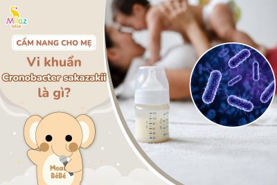 Vi khuẩn Cronobacter sakazakii là gì?