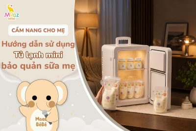 Hướng dẫn sử dụng tủ lạnh mini bảo quản sữa mẹ