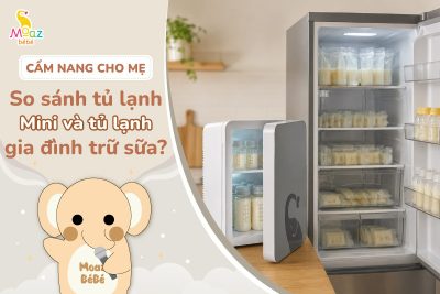 So sánh tủ lạnh mini và tủ lạnh gia đình khi trữ sữa mẹ