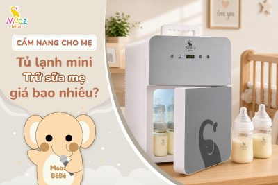 Tủ lạnh mini trữ sữa mẹ giá bao nhiêu hiện nay?