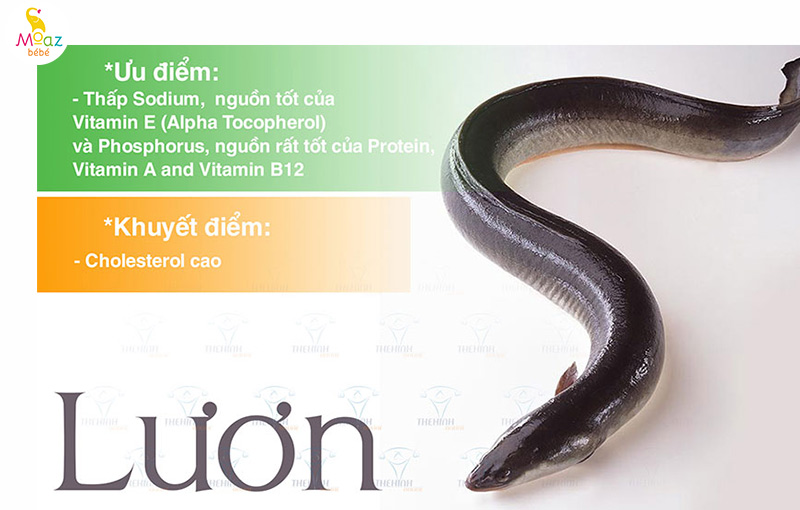 Giá trị dinh dưỡng của lươn đối với phụ nữ mang thai