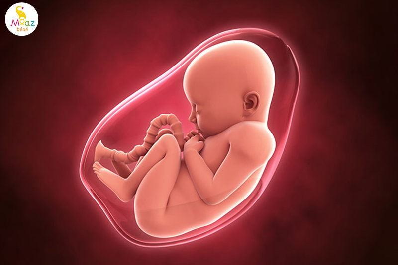 Nguyên nhân khiến mẹ bầu bị dư nước ối