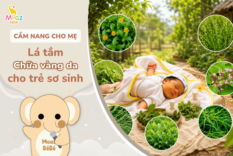 Lá tắm chữa vàng da cho trẻ sơ sinh có hiệu quả không?