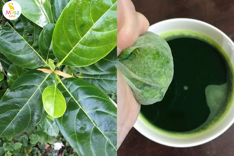 Dùng lá mít gọi sữa