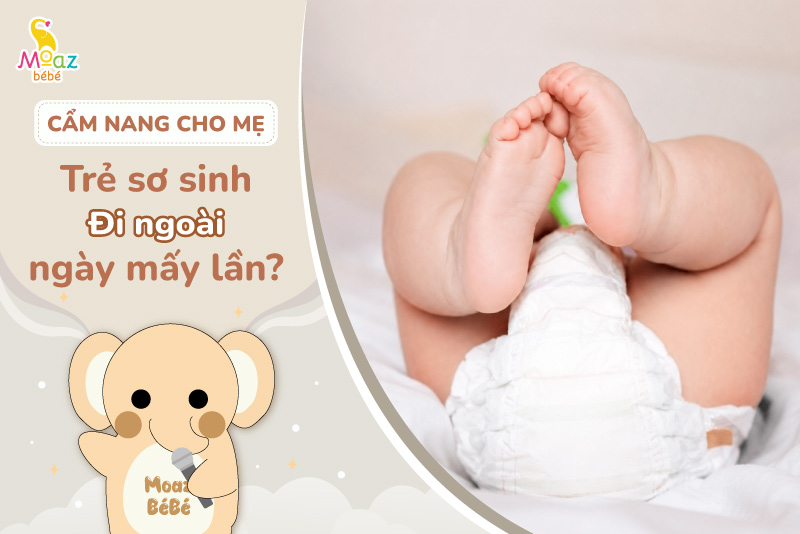trẻ sơ sinh đi ngoài ngày mấy lần?