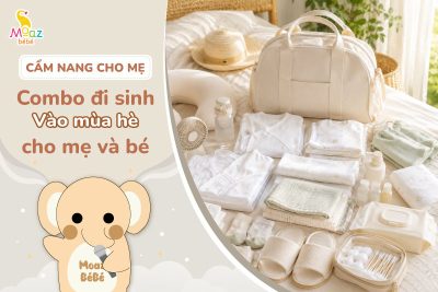 Combo đi sinh mùa hè gồm những gì?