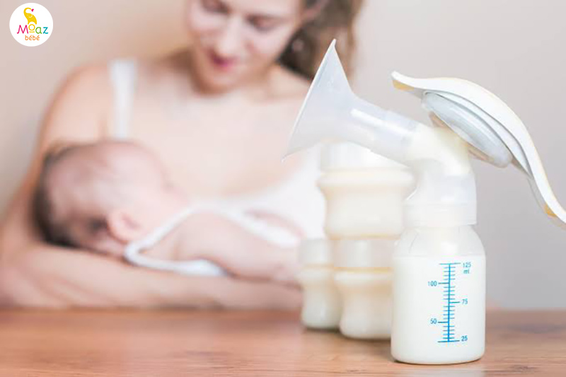 Cách giúp nguồn sữa ổn định và giàu dinh dưỡng
