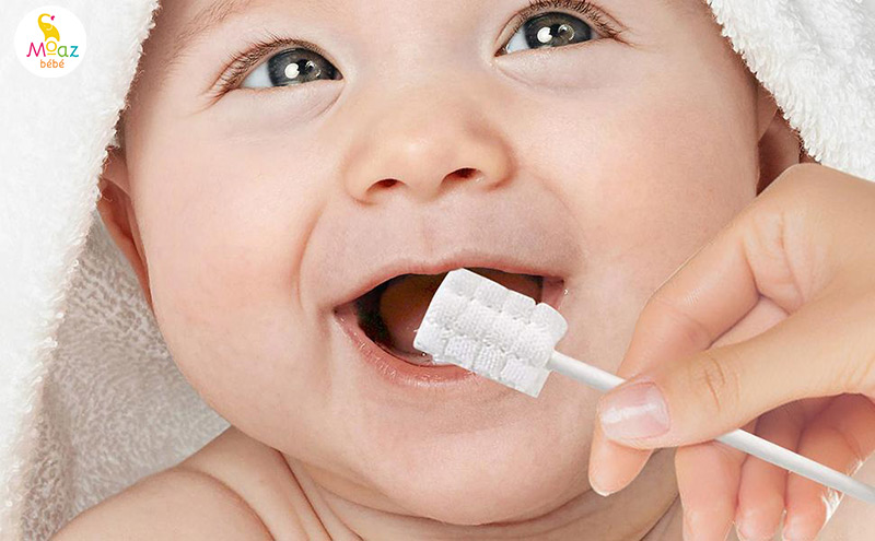 Thứ tự mọc răng của bé theo tháng tuổi mẹ nên biết 4 Cách chăm sóc răng miệng cho bé