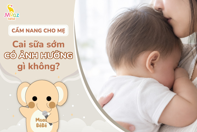 Cai sữa sớm có ảnh hưởng gì không? Những lưu ý khi cai sữa cho bé 2 Cai sữa sớm có ảnh hưởng gì không