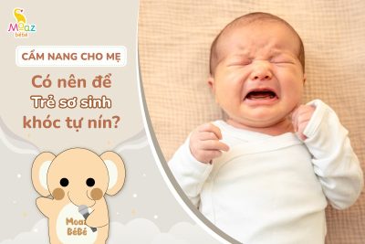 Có nên để trẻ sơ sinh khóc tự nín? Giải đáp chi tiết cho ba mẹ 14 Có nên để trẻ sơ sinh khóc tự nín không?