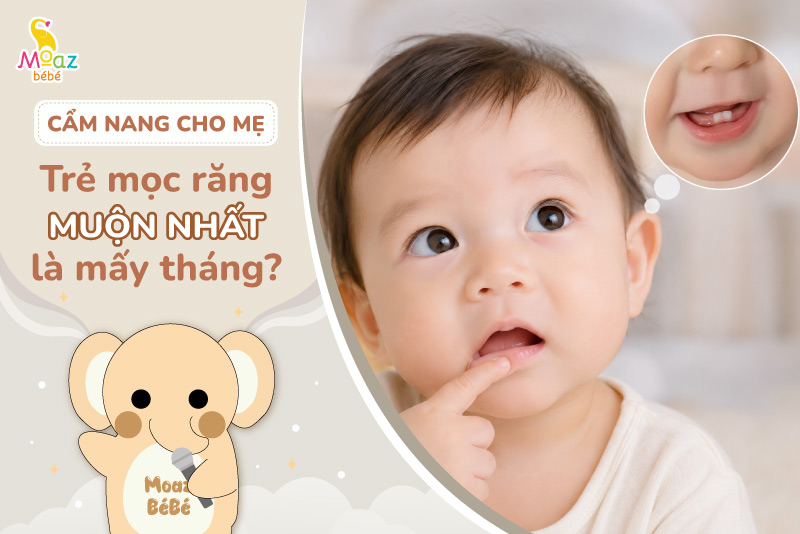 Trẻ mọc răng muộn nhất là mấy tháng và những điều cần lưu ý 1 Trẻ mọc răng muộn nhất là mấy tháng
