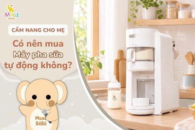 có nên mua máy pha sữa tự động không